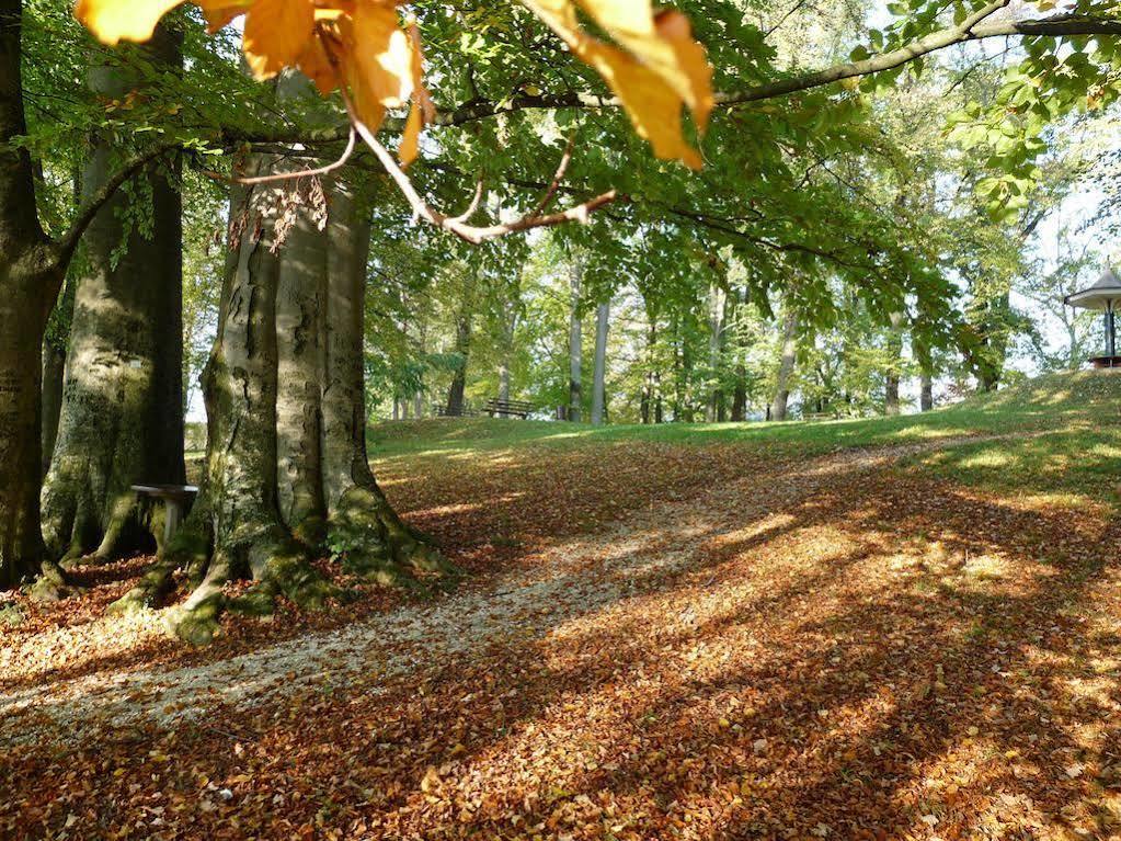 Parkhotel Zur Klause Bad Hall Eksteriør billede